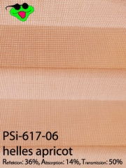 PSi-617-06