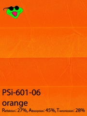 PSi-601-06