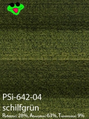 PSi-642-04