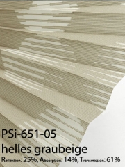 PSi-651-05