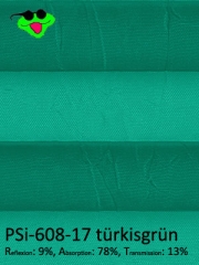 PSi-608-17